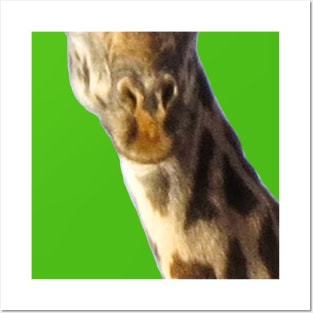 Giraffe Mouth Animal Face Posters and Art